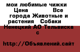 мои любимые чижки › Цена ­ 15 000 - Все города Животные и растения » Собаки   . Ненецкий АО,Тельвиска с.